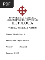 TRAQUEA Y PULMON - Histología