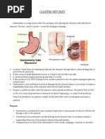 GASTROSTOMY