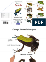 Mantella Guide French