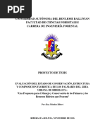 Evaluación Del Estado de Conservación, Estructura y Composicion Floristica de Los Palmares Del Área Urbana de Riberalta