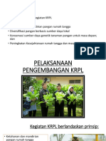 Pelaksanaan Pengembangan KRPL