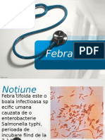 Febra Tifoida