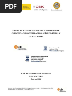 TESIS Jose Antonio Benedico PDF