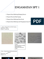 Hasil Pengamatan SPT 1