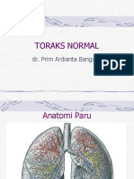 PP Bimbingan Koas Toraks Normal Dr. Prim