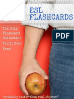 670 ESL Flashcards Manual PDF