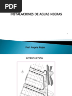 Aguas Negras