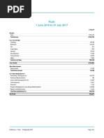 Plush - Profit Loss PDF