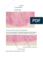 Histologia TERMINADO