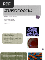 Streptococcus y Enterococcus