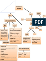 Mapa Conceptual