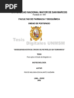 Biodegradación de Petróleo Crudo en Terrarios PDF