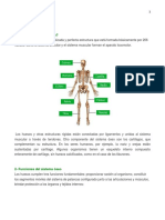 Sistema Óseo, APARATO LOCOMOTOR Y MUSCULOS