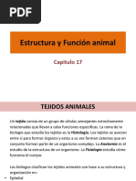 Estructura y Función Animal PDF