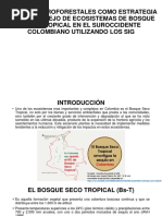 Sistemas Agroforestales SIG