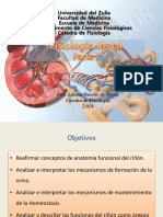 Fisiologia Renal. Parte I