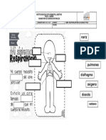 Eval. NEE Respiración