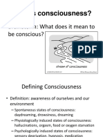 What Is Consciousness?: Brainstorm: What Does It Mean To Be Conscious?