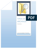 Tipos de Archivos y Sus Extensiones