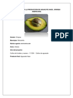 Proyecto de Produccion de Aguacate Hass