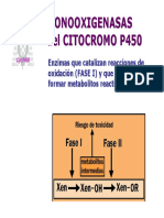 Monooxigenasas Del CITOCROMO P450