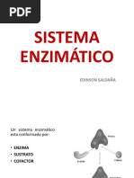 Sistema Enzimatico PDF