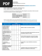 Escala de Valoración Diagrama Causa Efecto