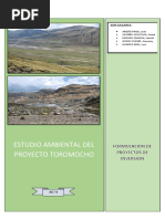 Estudio Ambiental de Proyecto Toromocho