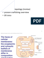 Protein Targeting To The Endoplasmic Reticulum A