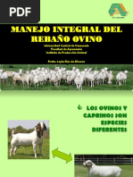 Manejo Integral Del Rebaño Ovino - 2011