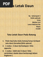 Tata Letak Daun