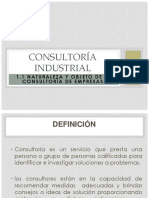 1 1-Consultoría