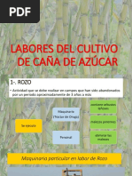 Labores Del Cultivo de Caña de Azúcar