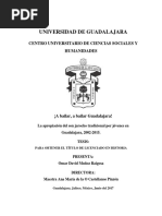 Apropiación Del Son Jarocho Tradicional Por Los Jóvenes Tapatíos, 2002-2015