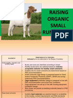 Raising Organic Goat