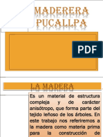 Diapositivas de Maderas