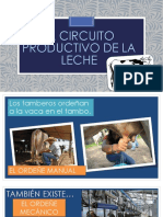 El Circuito Productivo de La Leche