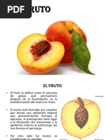 El Fruto