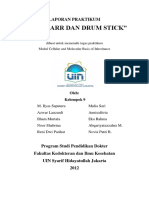 Uin Laporan Praktikum Body Barr Dan Drum Stick