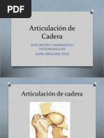 Articulacion de Cadera - Rodilla