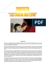 Proyecto Lactancia Materna