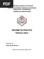 Informe Cerdos