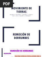 Remoción de Derrumbes