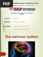 The Nervous System