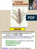 03 Gene Expression