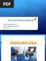 Endourologia