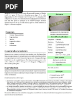 Spirogyra: Weed) Is A Genus of Filamentous Chlorophyte Green Algae of The Order