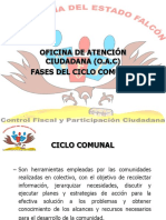 Fases Del Ciclo Comunal