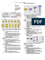 Evaluacion Gametogenesis