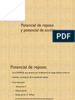 Potencial de Reposo y Potencial de Acción PDF